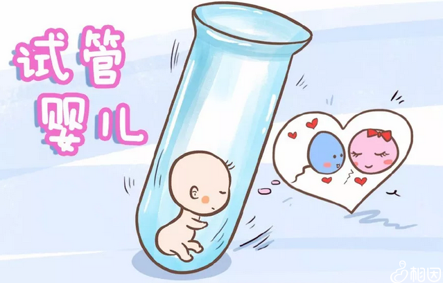 试管婴儿胚胎移植后注意事项