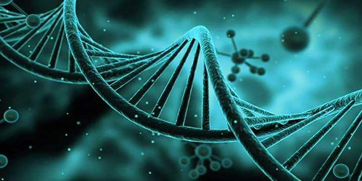 试管婴儿胚胎移植数量选择