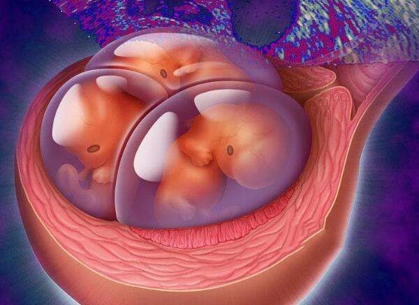 试管婴儿费用构成分析与价格区间探讨