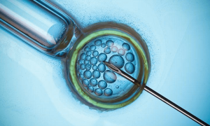 试管婴儿胚胎移植后着床时间