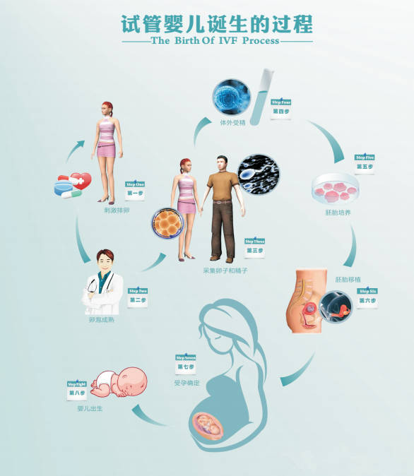 试管婴儿费用构成分析与价格区间研究