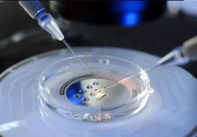 试管婴儿费用在铜仁