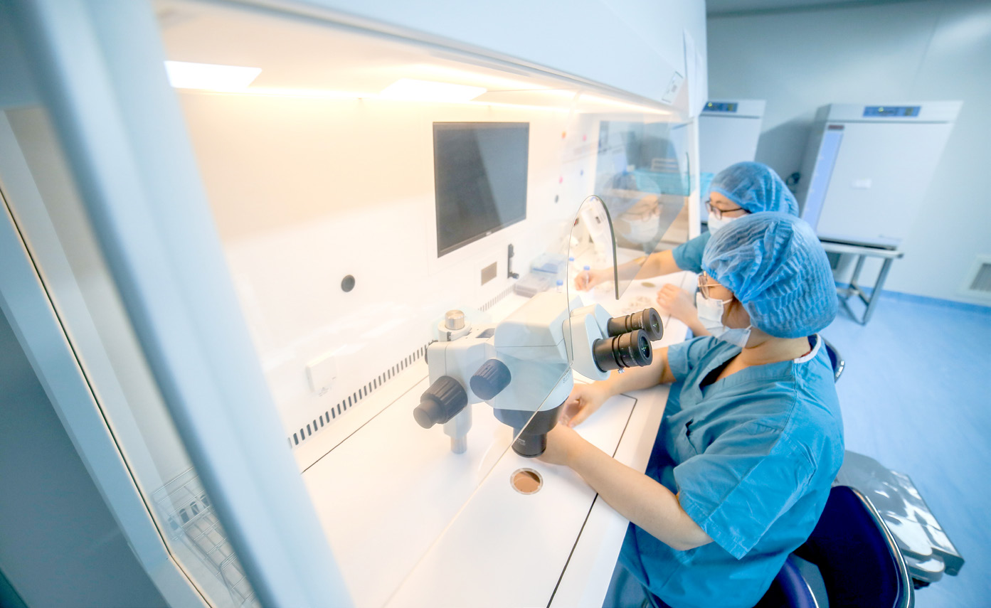 试管婴儿胚胎移植成功率提高策略