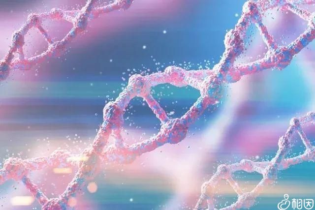 试管婴儿胚胎移植后流产原因分析