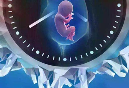 试管婴儿费用在美国