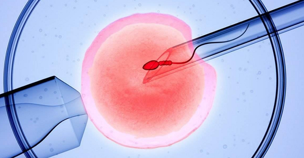 试管婴儿胚胎移植后三个月